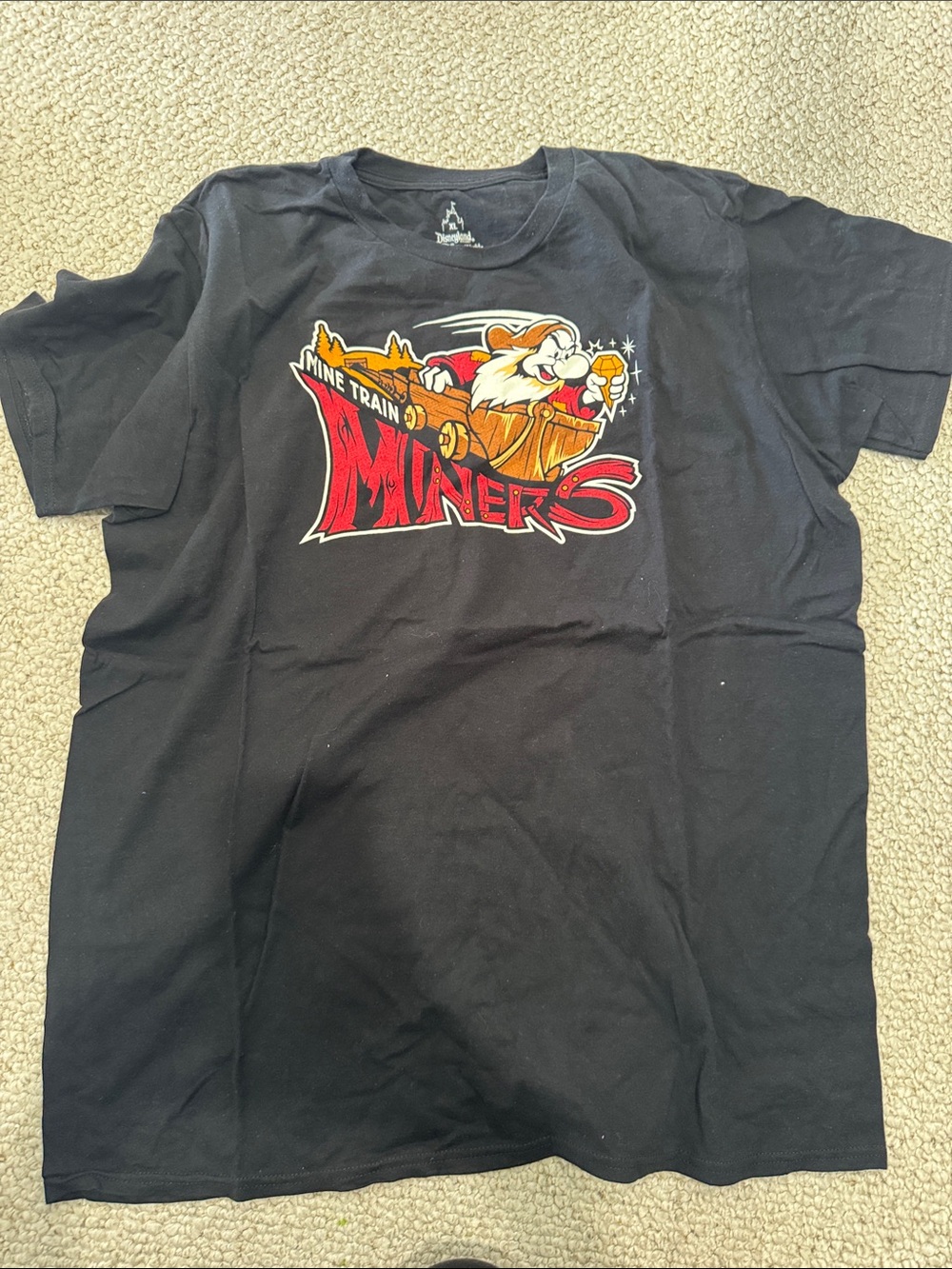 Seven dwarfs mine train Disney shirt